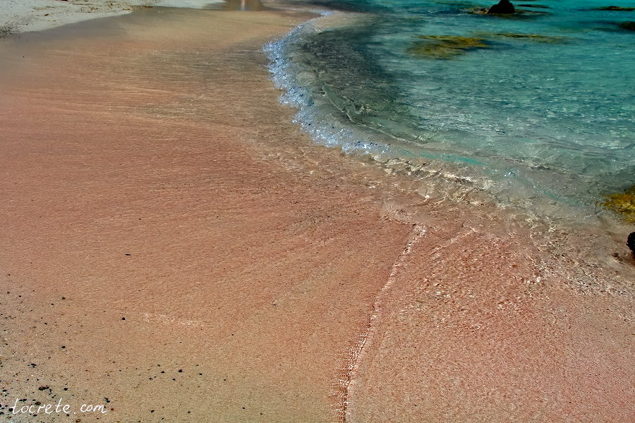 Розовый песок на пляже Элафониси Розовый песок на пляже Элафониси