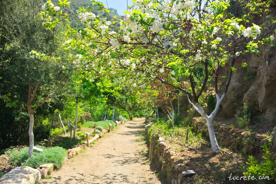 Ботанический парк на Крите Достопримечательности Крита | Что посмотреть в первый раз