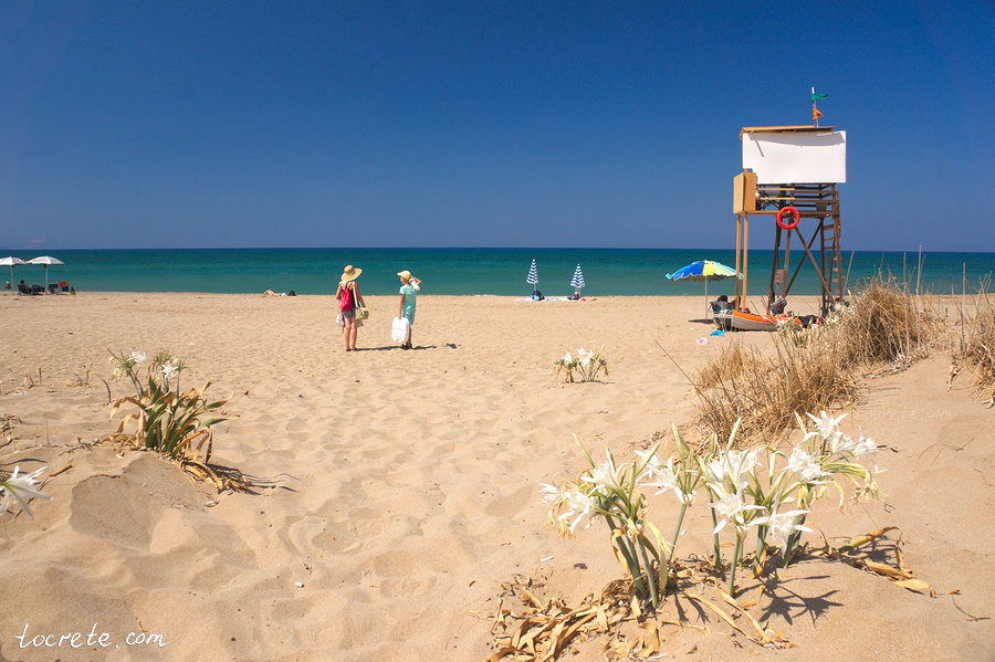 Путеводитель по Криту Путеводитель по Криту