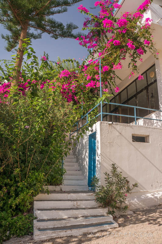 Хора Сфакион (Сфакия) Chora Sfakion 004