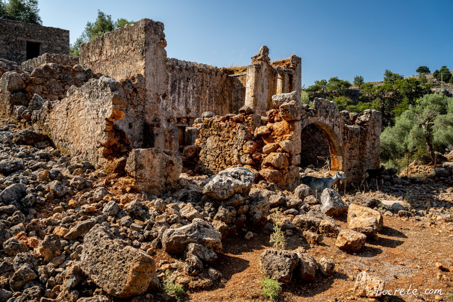 Межродовая вендетта стала причиной заброшенности деревни Арадена Межродовая вендетта стала причиной заброшенности деревни Арадена