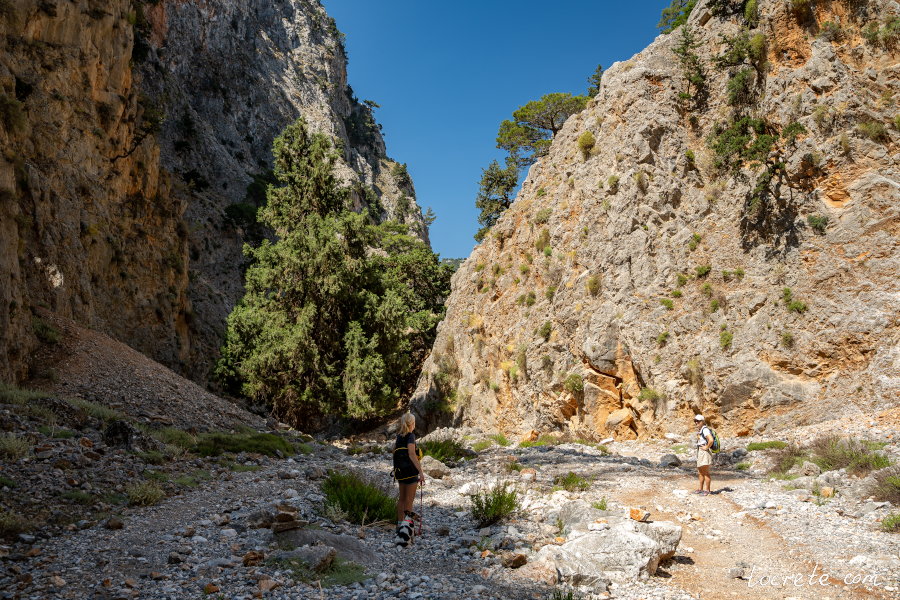 Араденское ущелье - насколько сложное, как подготовиться к походу Араденское ущелье - насколько сложное, как подготовиться к походу