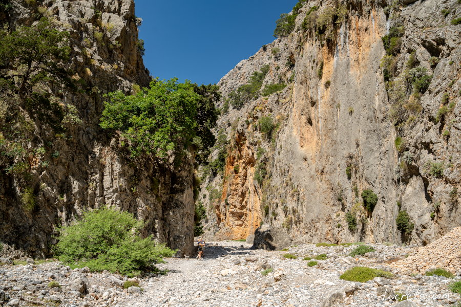 Ущелье Арадена в области Сфакья (западный Крит) Ущелье Арадена в области Сфакья (западный Крит)