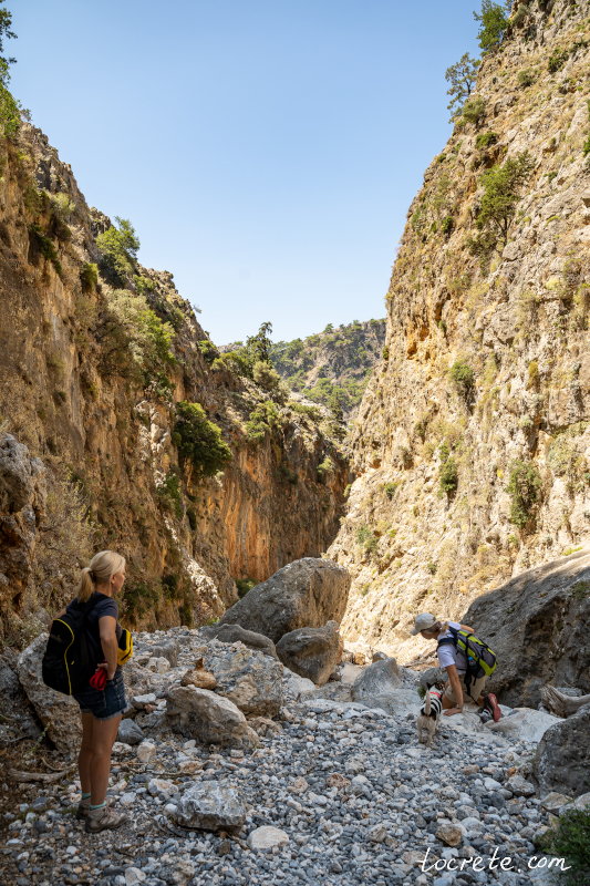 Каньон Арадена: очередное препятствие с резким перепадом высоты Каньон Арадена: очередное препятствие с резким перепадом высоты