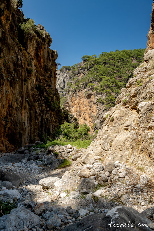 Ущелье Арадена в южной части западного Крита (район Сфакья) Ущелье Арадена в южной части западного Крита (район Сфакья)