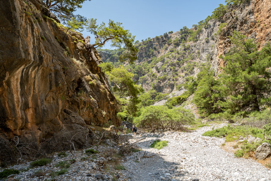 На некоторых участках ущелье Арадена буквально утопает в зелени На некоторых участках ущелье Арадена буквально утопает в зелени