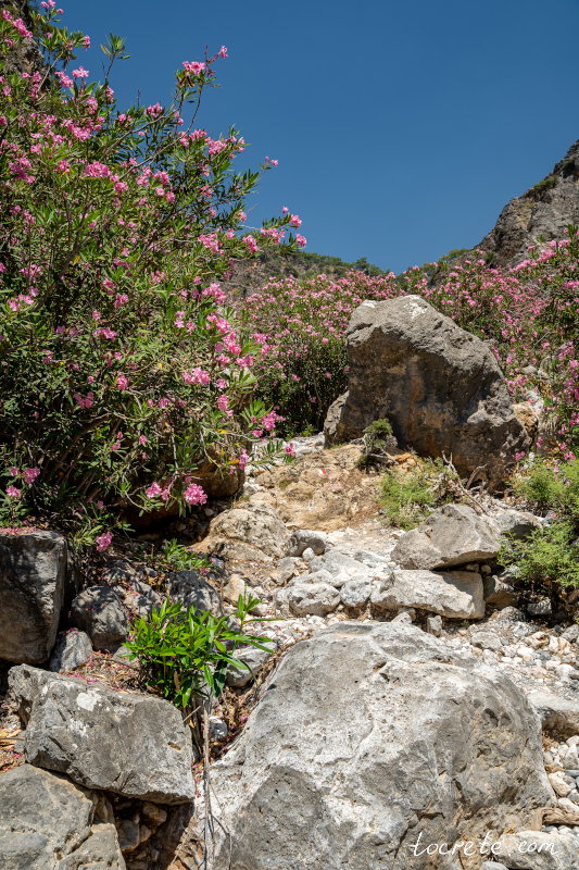 Араденское ущелье | Западный Крит, район Сфакия Араденское ущелье | Западный Крит, район Сфакия