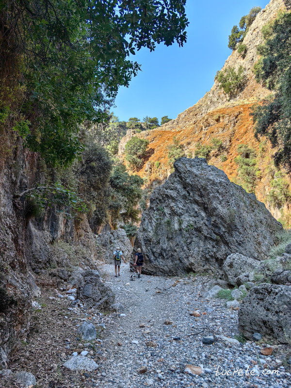 Араденское ущелье Араденское ущелье