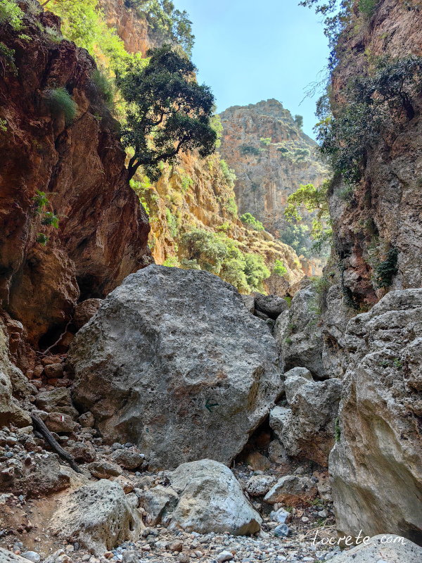 Каньон Арадена в районе Сфакия (западный Крит) Каньон Арадена в районе Сфакия (западный Крит)