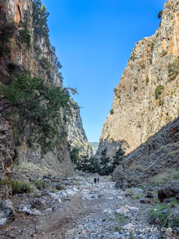 Араденский каньон на западе острова Крит, в районе Сфакья Араденский каньон на западе острова Крит, в районе Сфакья
