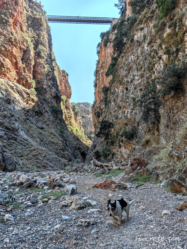 Каньон Арадена и мост Вардиноянниса уже невозможно представить друг без друга Каньон Арадена и мост Вардиноянниса уже невозможно представить друг без друга
