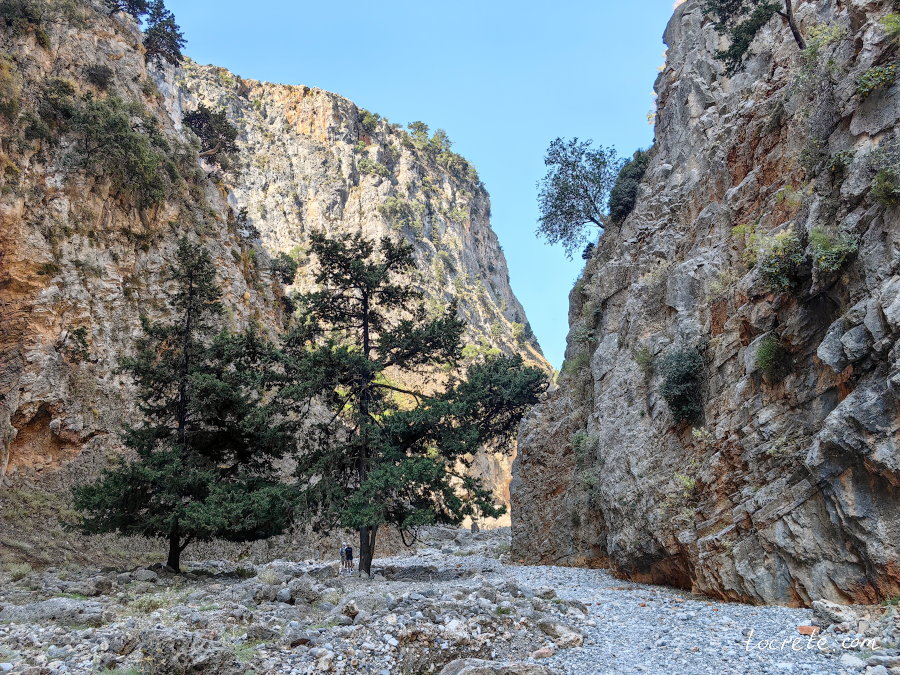 В ущелье Арадена негде пополнить запасы воды и еды В ущелье Арадена негде пополнить запасы воды и еды