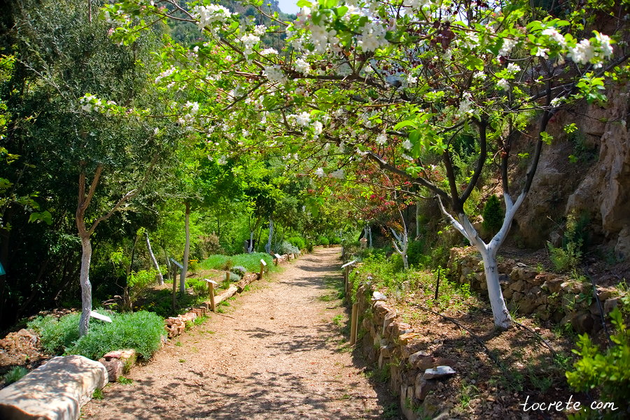 Ботанический сад на Крите Ботанический парк Крита