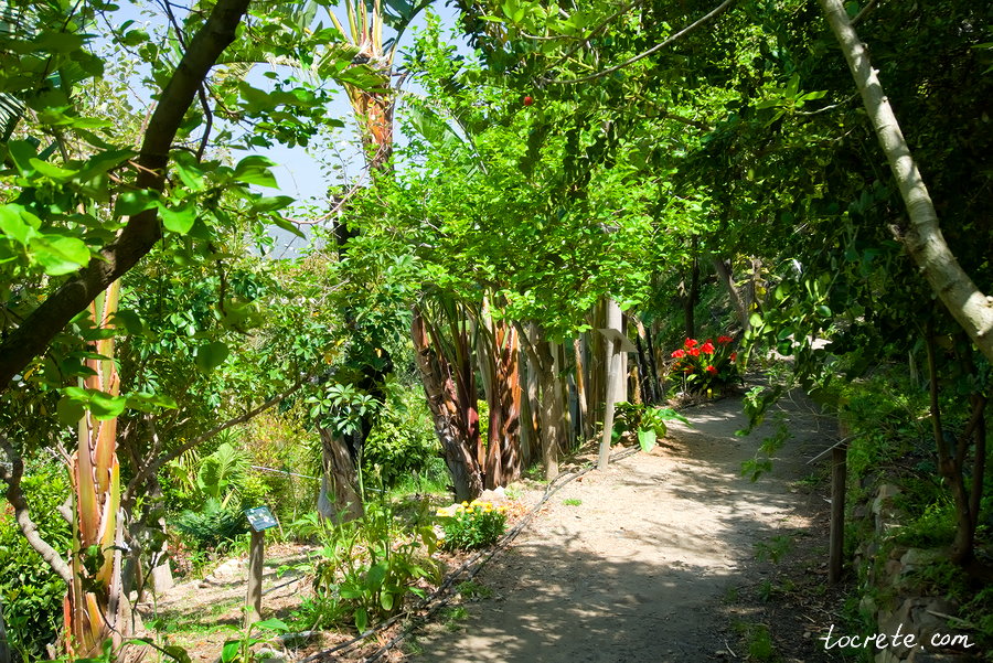 Ботанический сад на Крите Ботанический сад на Крите