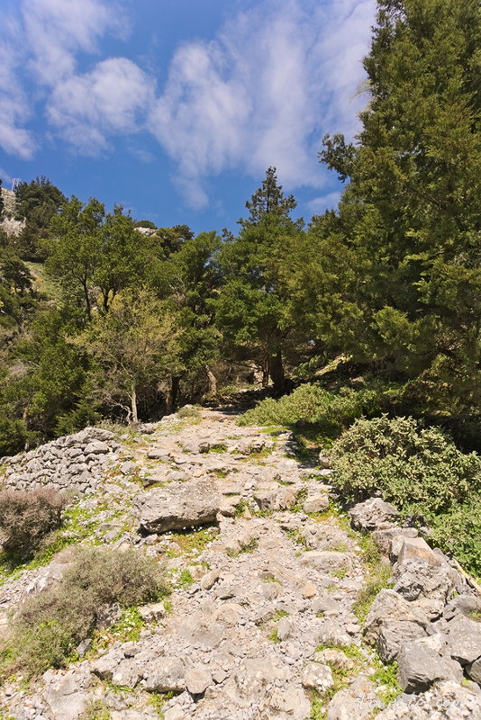 Ущелье Имброс (Imbros Gorge) Ущелье Имброс (Imbros Gorge)