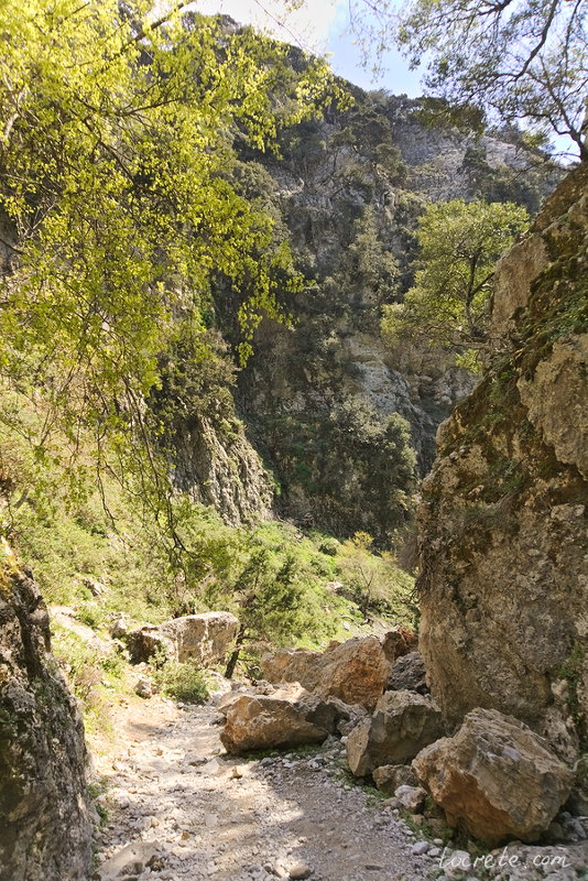 Ущелье Имброс (Imbros Gorge) Ущелье Имброс (Imbros Gorge)