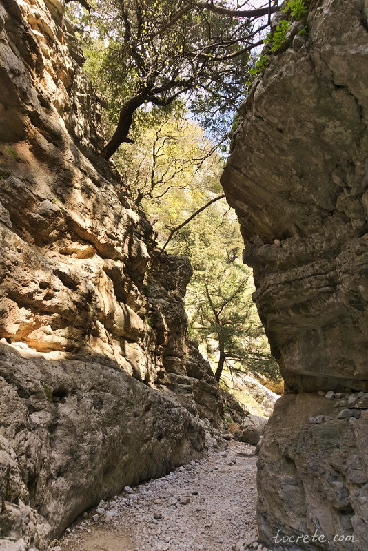 Ущелье Имброс (Imbros Gorge) Ущелье Имброс (Imbros Gorge)