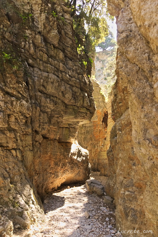 Ущелье Имброс (Imbros Gorge) Ущелье Имброс (Imbros Gorge)