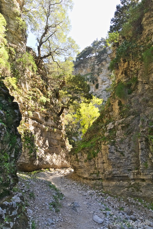 Ущелье Имброс (Imbros Gorge) Ущелье Имброс (Imbros Gorge)