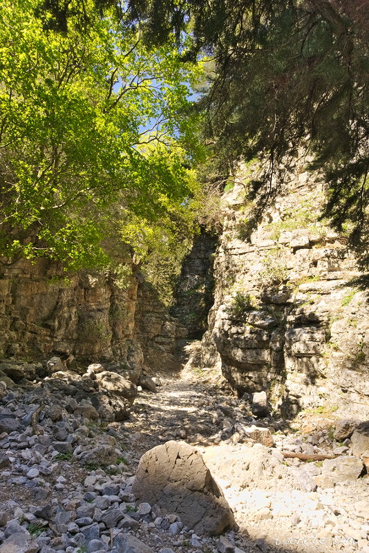 Ущелье Имброс (Imbros Gorge) Ущелье Имброс (Imbros Gorge)