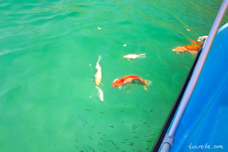 Озеро Курнас (Озеро Курна) Озеро Курнас (Озеро Курна)