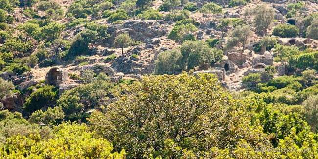 Лиссос (Lissos) Лиссос (Lissos)