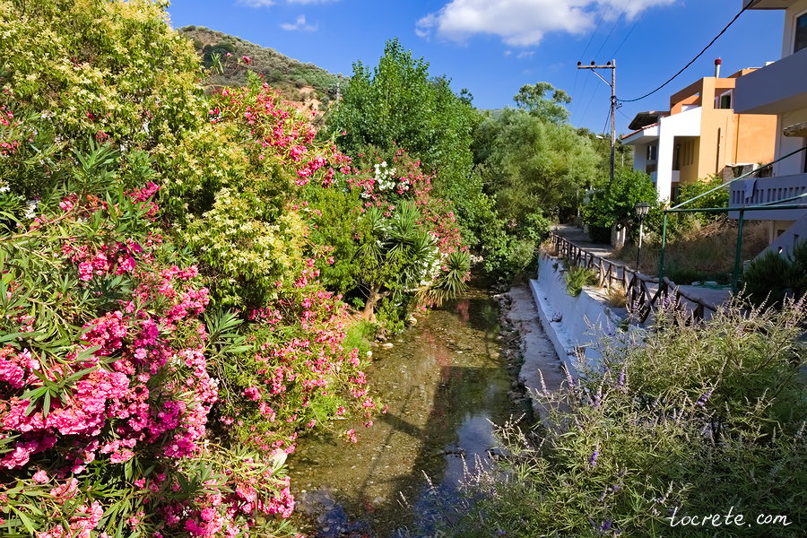 Река Пандомандрис в Фоделе Река Пандомандрис в Фоделе