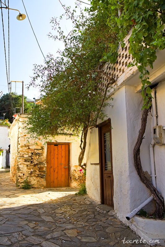 Фоделе Фоделе