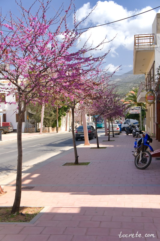 Малия (Малья) Малия (Малья)