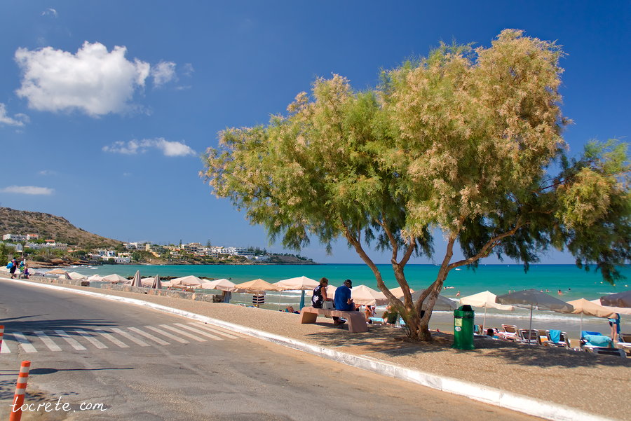 Сталида (Сталис) Сталида (Сталис)