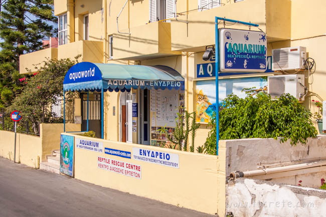 Аквариум и Центр Спасения Рептилий. Крит Аквариум и Центр Спасения Рептилий. Крит
