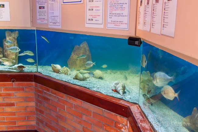 Аквариум Aquaworld на Крите. Херсониссос Аквариум Aquaworld на Крите. Херсониссос