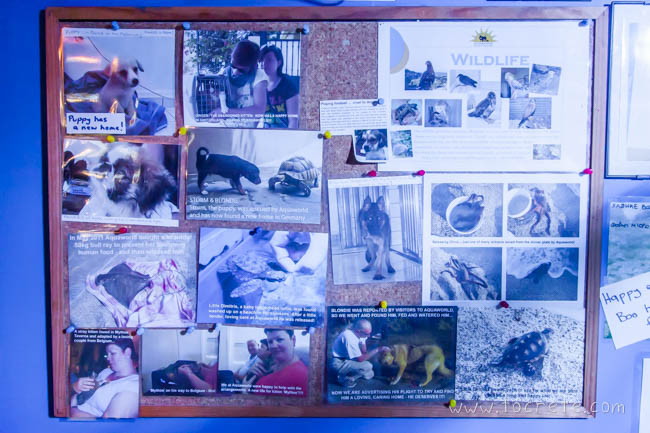 Aquaworld Aquarium. Крит Aquaworld Aquarium. Крит