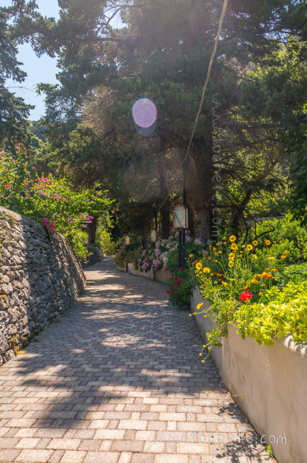 Монастырь Савватьяна. Savvatiana Monastery Монастырь Савватьяна. Savvatiana Monastery