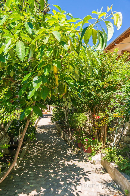 Монастырь Савватьяна Монастырь Савватьяна