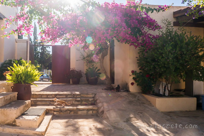 Монастырь Богородицы Одигитрии (Μονή Οδηγήτριας, Odigitria Monastery) Монастырь Богородицы Одигитрии (Μονή Οδηγήτριας, Odigitria Monastery)