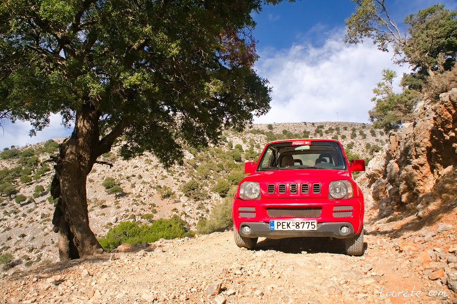 Грунтовая дорога в лес Рувас Грунтовая дорога в лес Рувас