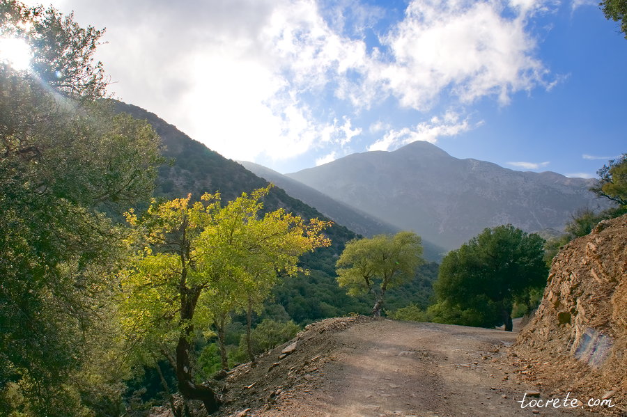 Лес Рувас (Δάσος Ρούβα, Rouvas Forest) Лес Рувас (Δάσος Ρούβα, Rouvas Forest)