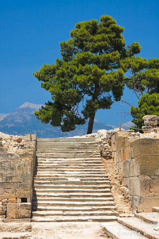 Фестский дворец (Phaistos Palace) Фестский дворец (Phaistos Palace)