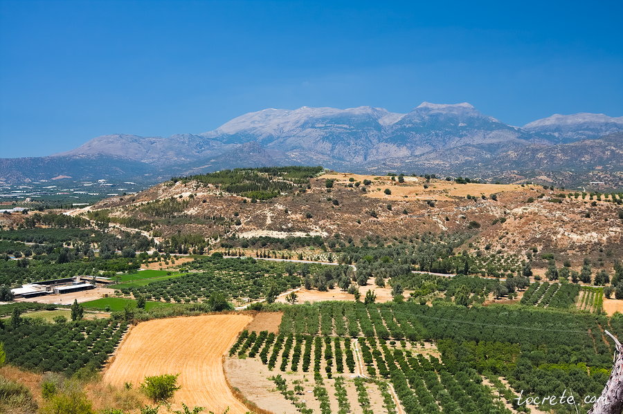Фестский дворец (Phaistos Palace) Фестский дворец (Phaistos Palace)