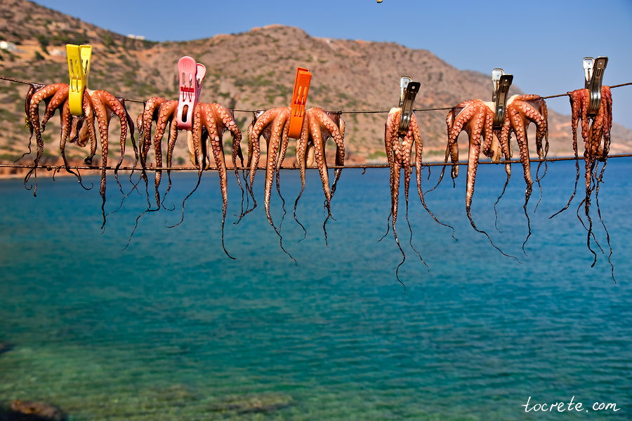 Плака, Крит Плака, Крит