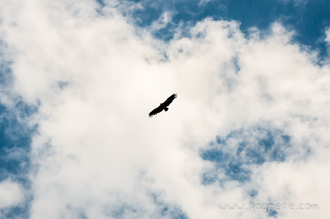 Античный город Дрирос Античный город Дрирос