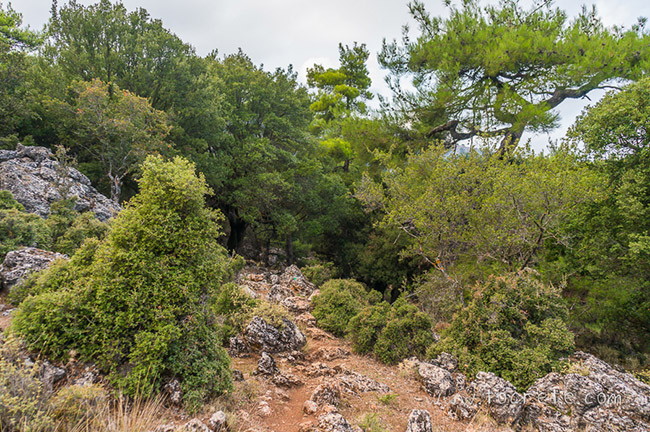 Парк Крустас (Kroustas Park) Парк Крустас (Kroustas Park)