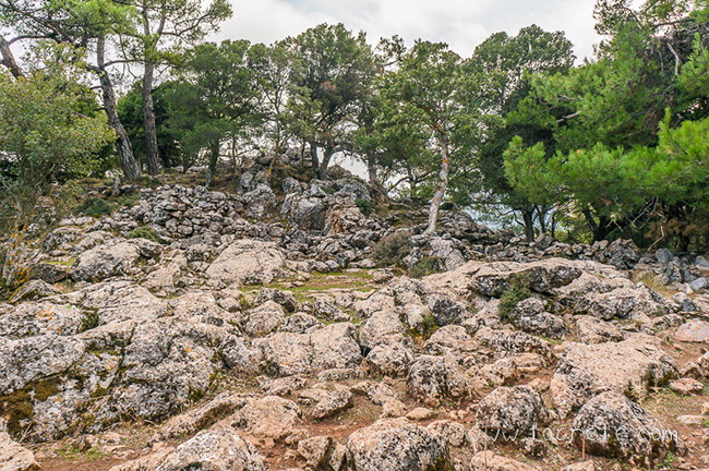 Лес Крустас Лес Крустас