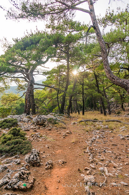 Тропа в парке Крустас Тропа в парке Крустас