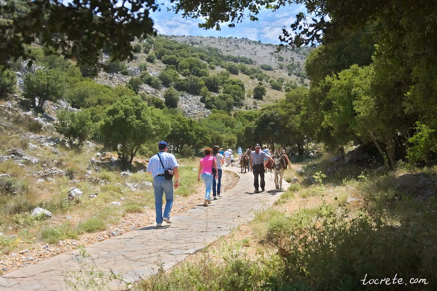 Пещера Зевса (Диктейская пещера, Пещера Психро) Пещера Зевса (Диктейская пещера, Пещера Психро)