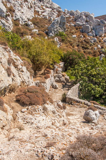 Войла (Voila) Войла (Voila)