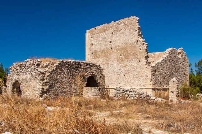 Войла (Voila) Войла (Voila)