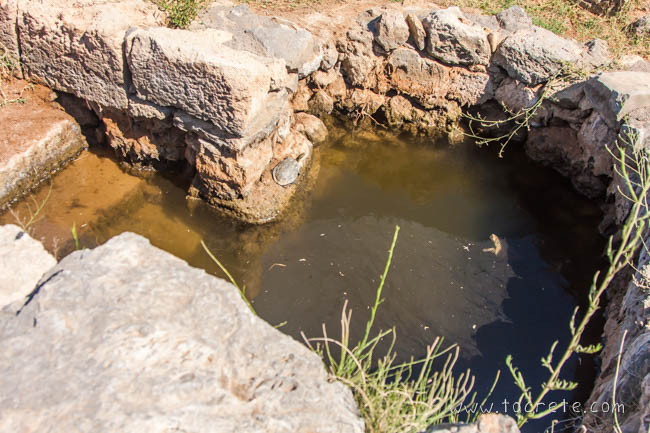 Священный источник. Дворец в Закросе Священный источник. Дворец в Закросе