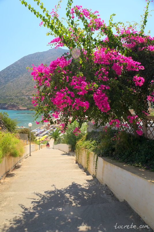 Бали, Крит Бали, Крит